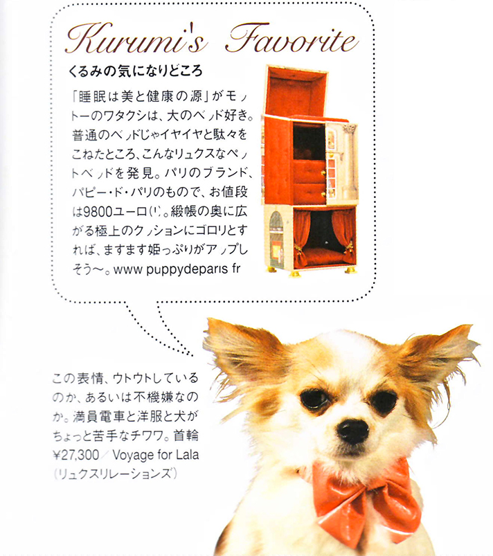 puppy-dans-Harper's-Bazaar-Japan-Kurumi's-Favorite-copie